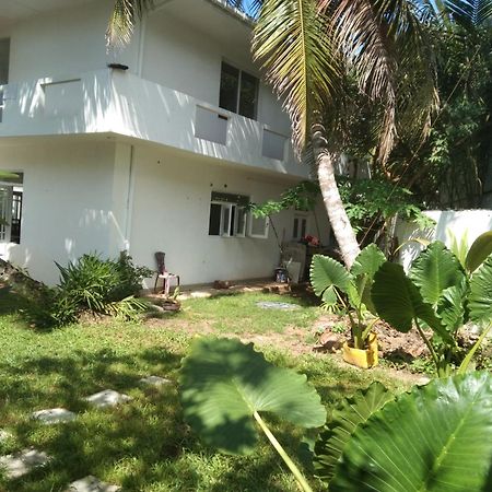 Ayu Hostel Амбаланґода Екстер'єр фото